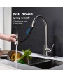 Single Handle High Arc Pull out Kitchen Faucet with Pull down Sprayer Stainless Steel Sink Faucet
